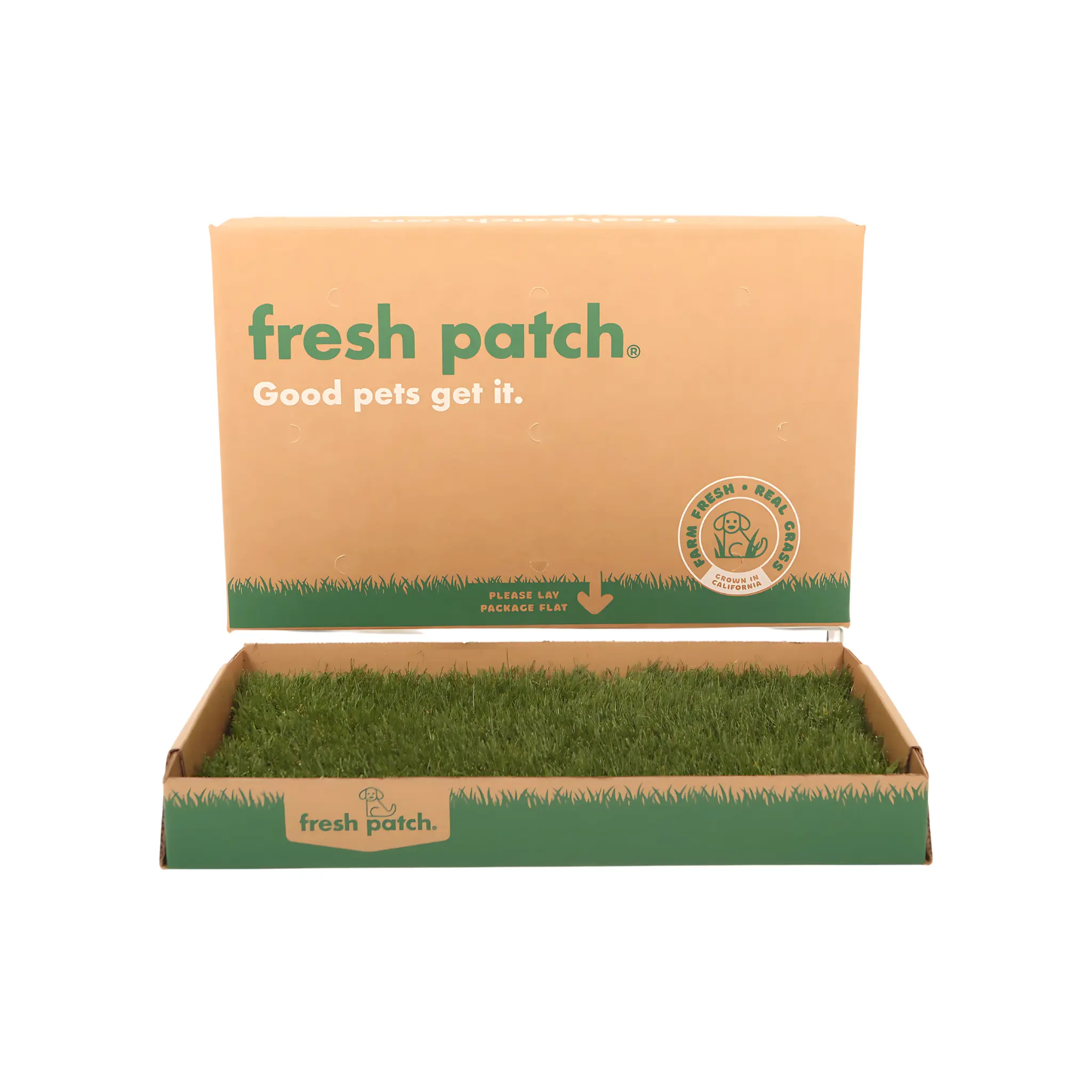 Fresh Patch Real Grass Patch for Dogs, Cats, and Rabbits | Great for Balcony and Animals in the City