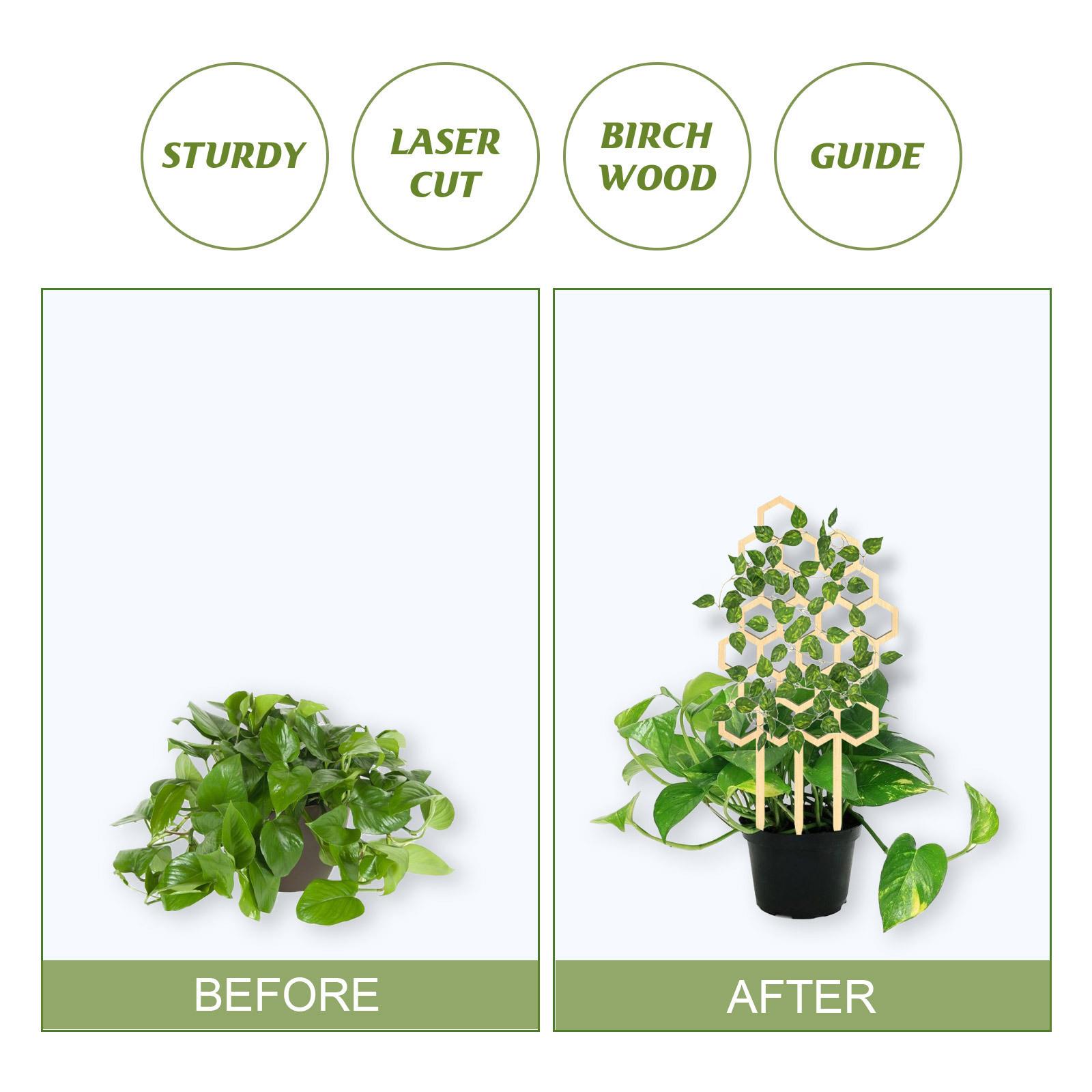 Garden plant trellis, household wooden geometric decorative support for flower arrangement and climbing vines,vines