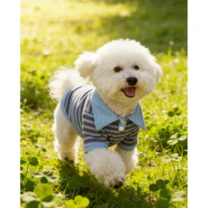 An autumn and winter Polo striped cat and dog outfit, suitable for short-haired and hairless cats, dog accessories, ideal for stylish dogs and cats for birthday parties, spring camping, and outdoor outings clothes  cool cat stuff pet stuff dog products