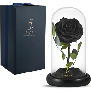 Forever Preserved Real Black Rose Flower - Eternal  for Mom, Valentines Day, Mother's Day, Christmas Anniversary, Black
