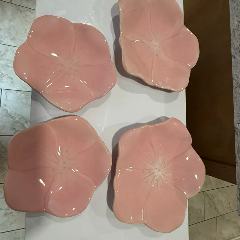 Juego de 4 platos de cerámica en color rosa princess house