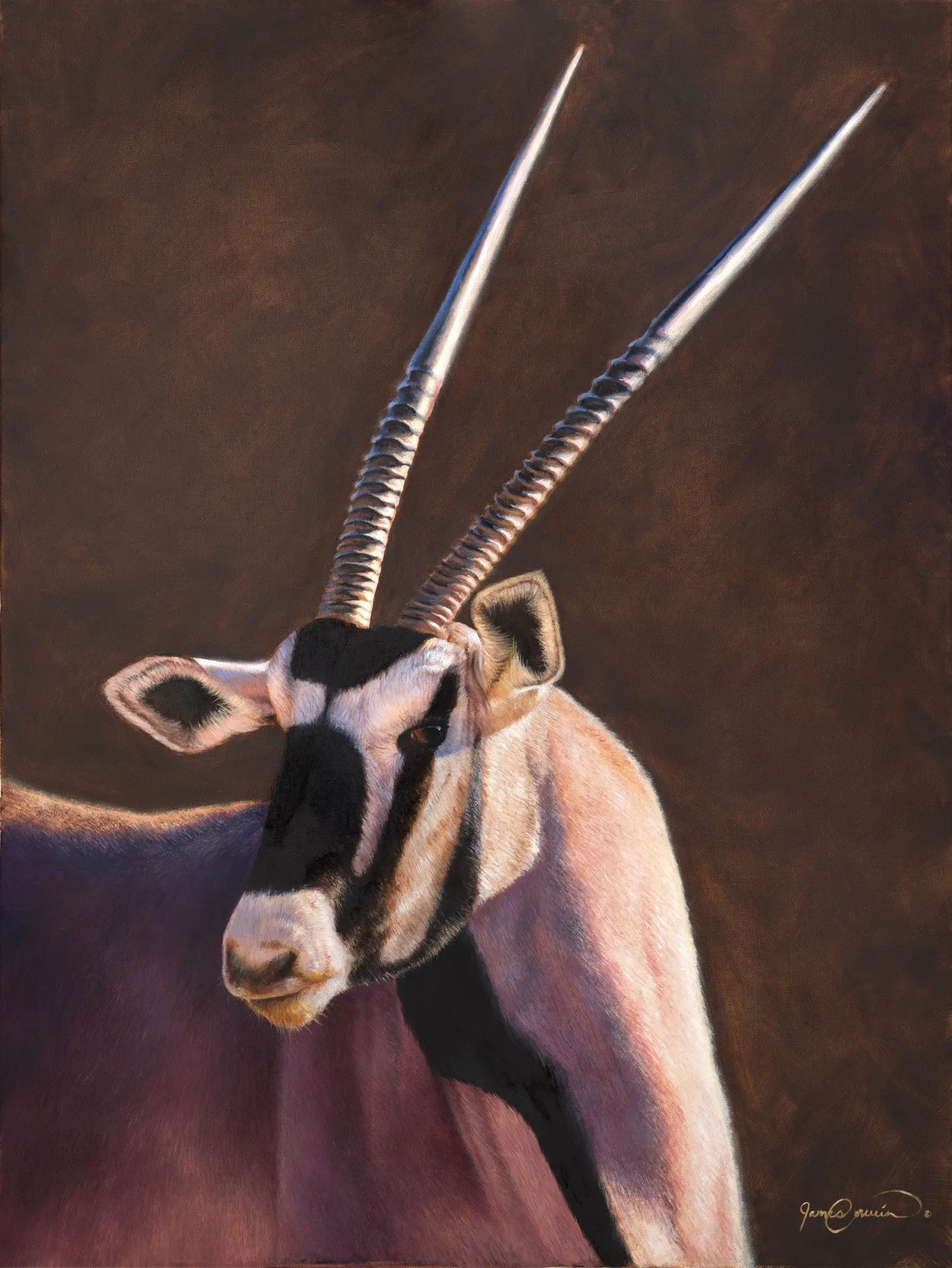 Gemsbok Gem - African Wildlife Safari Art by James Corwin - World Travel Décor - Hunting and Conservation - Ready to Hang Giclée Print -
