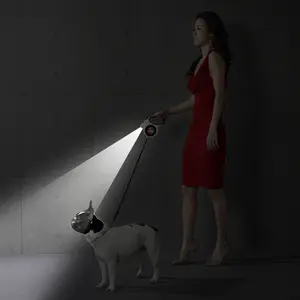 Automatic Retractable Cat and Dog Leash with LED Light 5M Extended Dog Chain for Safe Nighttime Walks