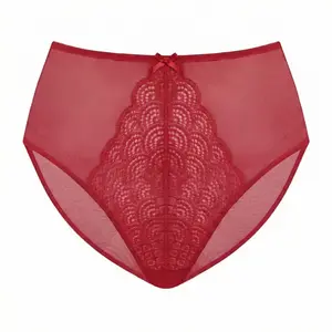 Mermaid Scales Lace Sheer Mesh Back High-Rise Brief Underwear Matching Panty SpringStatements