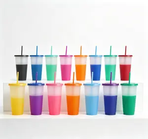10 reusable 24-ounce leak-proof color-changing plastic cups with lids and straws, suitable for any cold drinks, iced coffee, and juice, perfect for beach parties and family gatherings. Drinkware Pour,excellent gift
