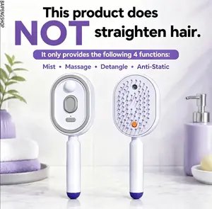 2026 New Rechargeable Electric Steam Brush, Anti-Static Detangling Hair Smoothing Brush, Portable Nourishing Styling Tool for Frizzy Dry Hair, Perfect for Home and Travel Daily Use