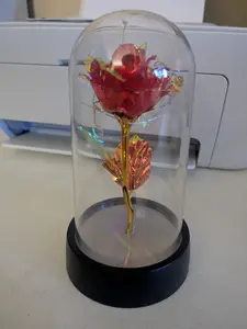The Crimson Enchanted Rose | Shatterproof & Eternal