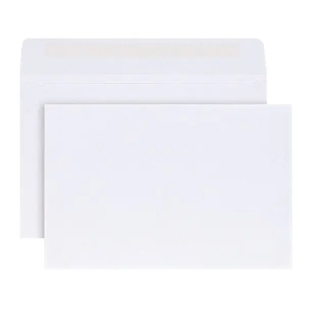 6x9 Booklet Envelopes with Gummed Closure, 24lb White Wove Paper