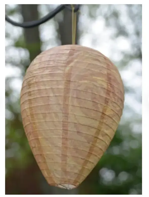 4-Pack Wasp Deterrent Decoy Nests - Wax Paper, Collapsible Design, Includes Hanging String, Metal Expansion Bar, Easy Setup and Removal, Chemical-Free, High-Quality, Outdoor Garden Wood Wasp-and-Hornet-Control