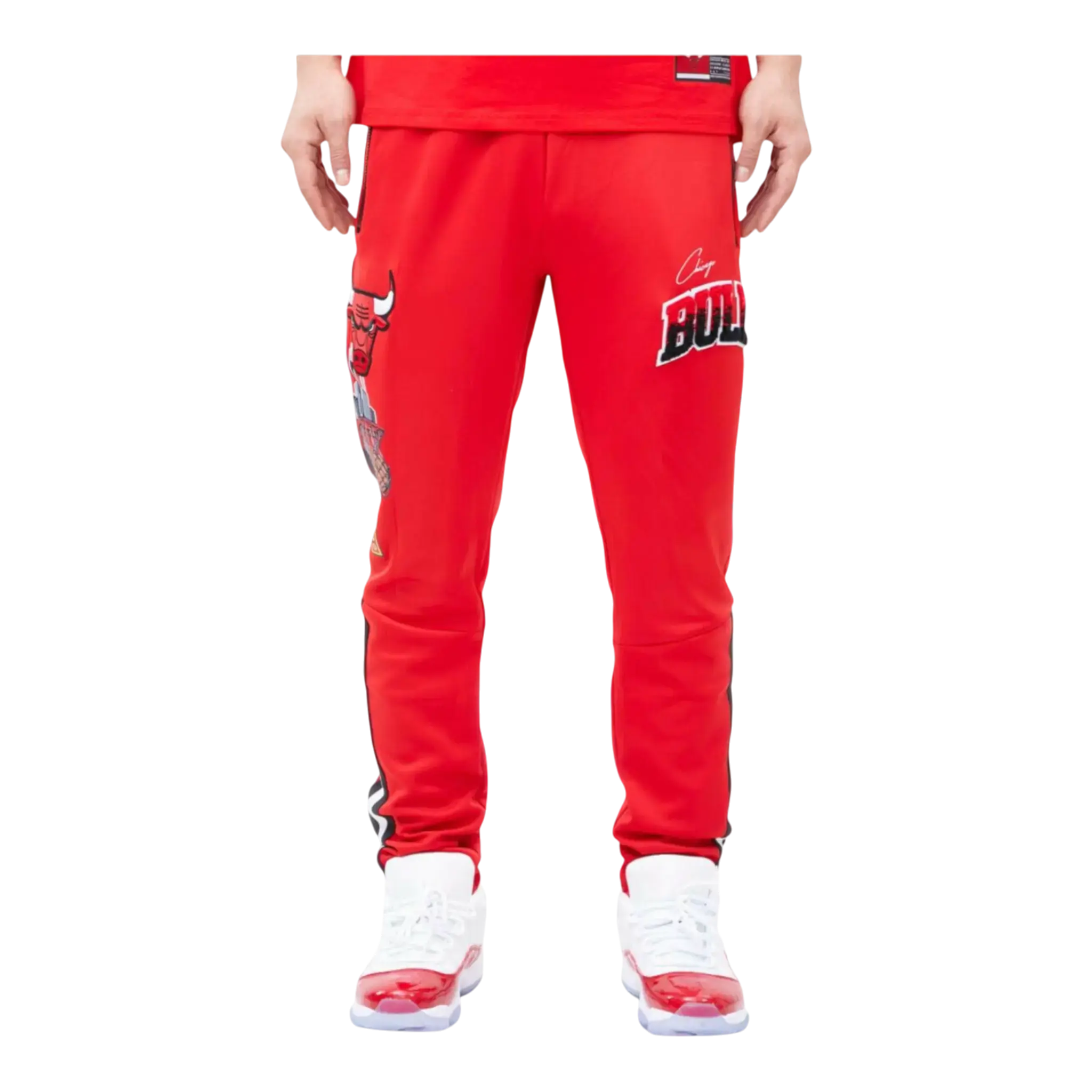 Pro Standard Chicago Bulls Home Town Track Pants in Red | Men's
