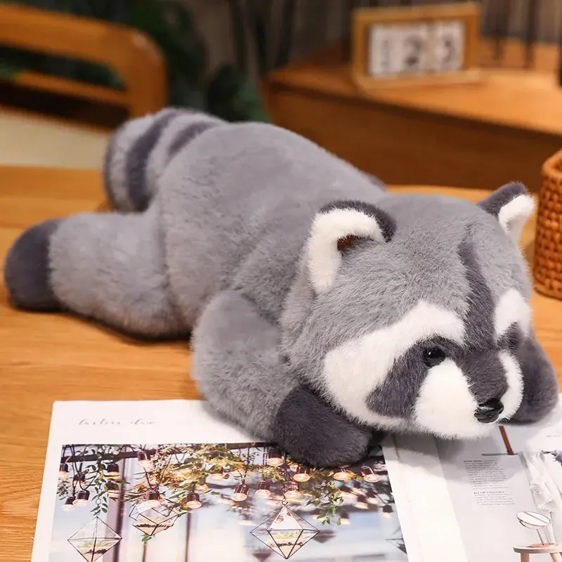 Gray raccoon