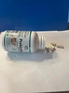 Probiotics Supplement for Digestive Health and General Well-being Supports Daily Routine for Health Benefits US