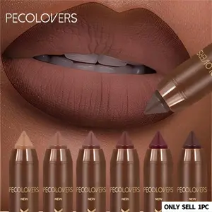 1pc Brown Lipstick, Matte Finish & Saturated Moisturizing, Hydrate, Hydrating, Natural to Bold Looks, Ideal for Daily & Glam Makeup