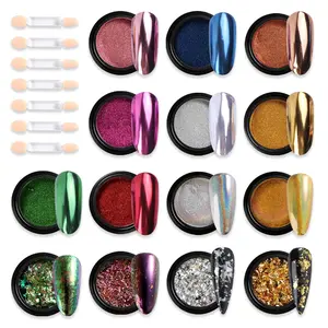 Nail Powder Set ,14 Color Pink Blue Silver Metallic Effect Mirror Powder, for Nails With Brushes Holographic Pigment Chameleon Flakes Nail Supplies