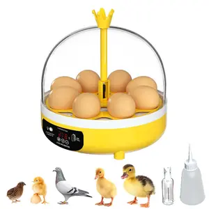 8 small home incubators, suitable for various types of eggs, beginner-friendly, easy to operate, USB-TypeC