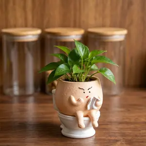Face Planter Pots Funny Toilet Plant Pot for Indoor Plants, Cute Face Head Flower Pots Quirky Succulent Planters Gift Ideal for Home, Office, Christmas
