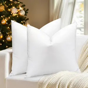 Throw Pillow Inserts 18'' x 18'' Set of 2, Down  Decorative Pillows, Luxury White Throw Pillows for Couch, Sofa, Bed and Cushion