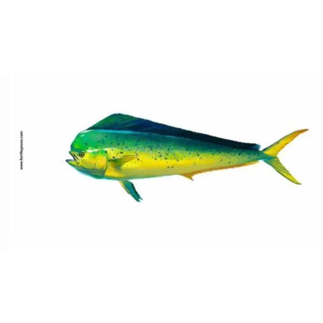 Boating Fishing Enthusiasts Flag - Realistic Fish Print, 1 Per Pack, Single Unit Packaging, Photorealism, Fabric Flag, Realistic Look, Prints, Outdoor, Boats