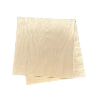 DIY 15 Inch Wide 1/2" Thick Birch Plywood Squares - A 2 Pack for Your Crafting Projects