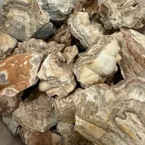 10lb Lot Lace Agate Raw Natural Rock from Summerville Georgia for Collecting Crafting Unique Patterns Druzy Textures Handpicked Stones