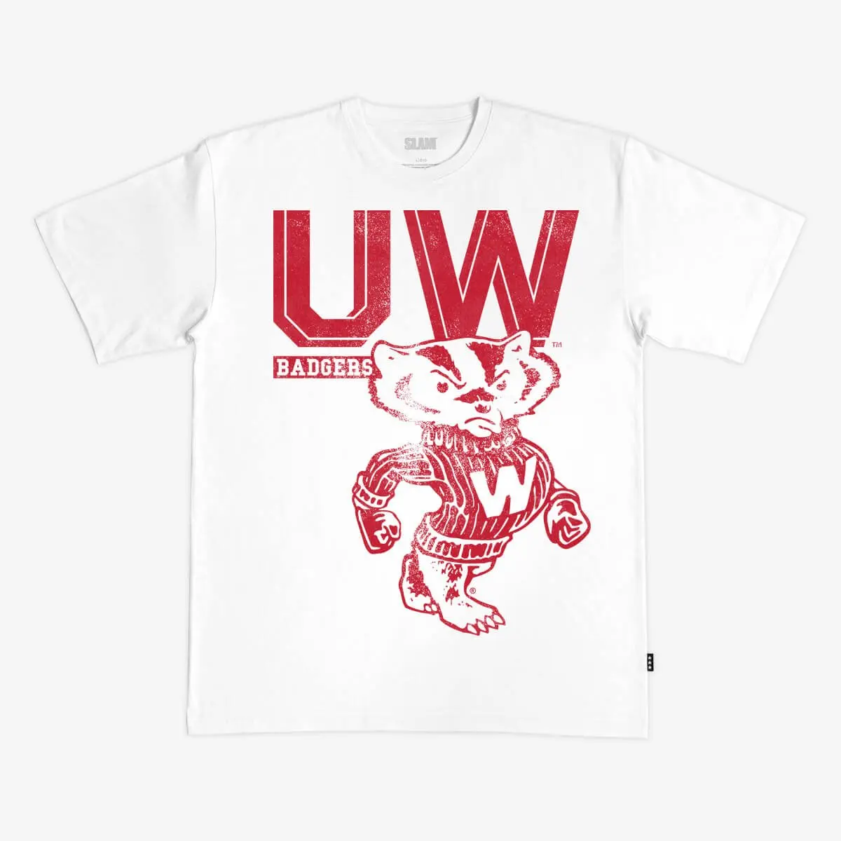 Wisconsin Letter Heavy Tee, Crewneck Sweater, Hoodie