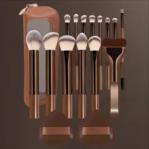 14pcs Professional Makeup Brush Set with Bag, Cosmetic Brush Set, Metal Frame, Eyeshadow, Blush, Foundation Brushes, Ideal for Women & Girls, Brush Kit