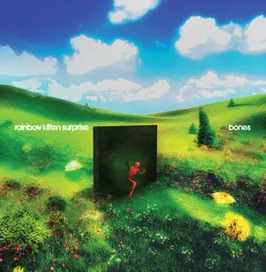 Rainbow Kitten Surprise - bones     (Black Vinyl)  [VINYL RECORD - LP] Explicit