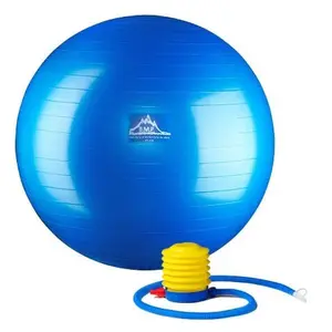 Black Mountain Products PSBLUE 75CM 75 cm. Professional Grade Exercise Stability Ball- Blue