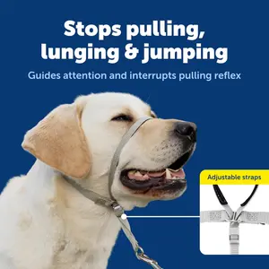 Gentle Leader Headcollar No-Pull Dog Halter Collar - Helps Improve Walks - Durable Nylon Construction - Padded Nose Loop - Adjustable Fit - Comfort Walking Halter - Medium, Black