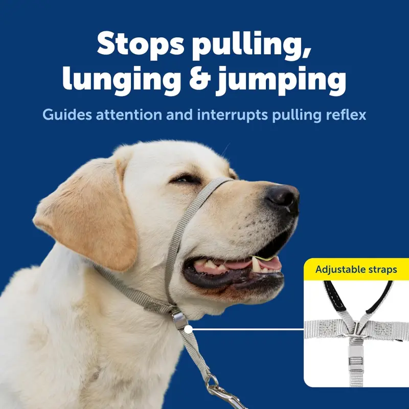 Gentle Leader Headcollar No-Pull Dog Halter Collar - Helps Improve Walks - Durable Nylon Construction - Padded Nose Loop - Adjustable Fit - Comfort Walking Halter - Medium, Black