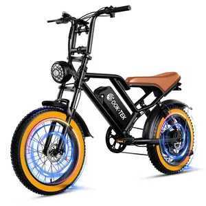[OOK-TEK] Adult Off-Road Electric Bike, 1000W 48V 17.5Ah, 20" Fat Tires, Dual Suspension, 50KM/H Top Speed, 35-50KM Range, Shimano 7 Gears, Front & Rear Drive, CE UL2849 Approved