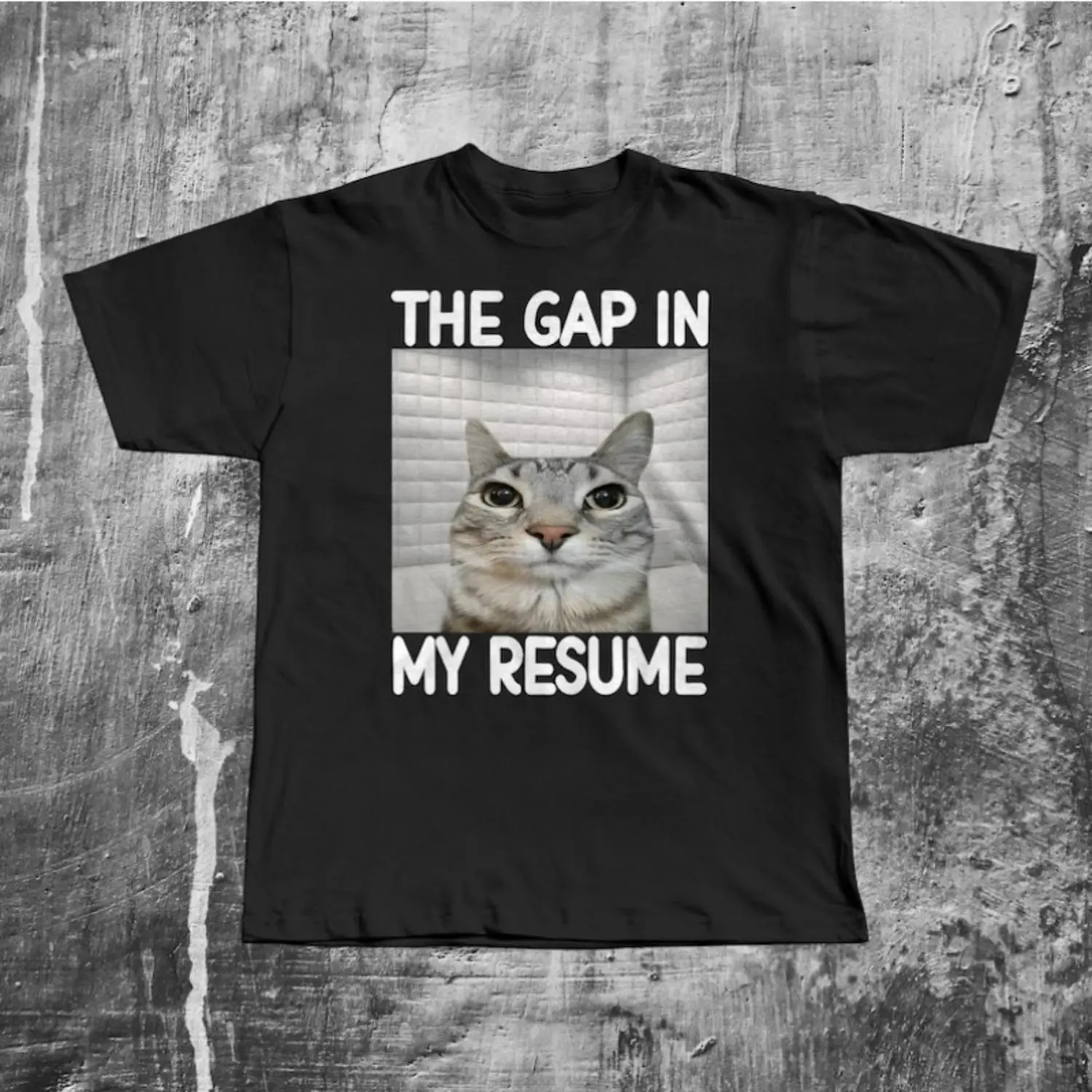 The Gap In My Resume Funny Dank Meme Cotton T-shirt Cat Lover Gifts Unhinged Clothing Brainrot Shirt Stupid T Shirts Silly Cats Tee