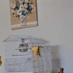 Mess-Free Bird Cage Net Cover - Universal Seed Catcher Skirt for All Cages, Breathable & Washable Nylon Guard for Pet Birds(Black & White Available)