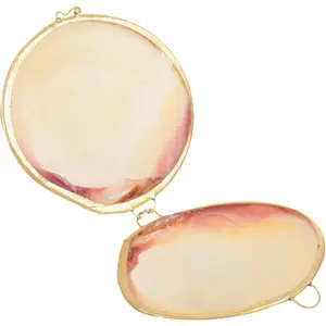 Box Shell Jewelry Holder Earring Holder Metal Seashell Figurine Pendant Case Delicate Jewelry Organizer White Child Natural Freshwater Shells Showcase