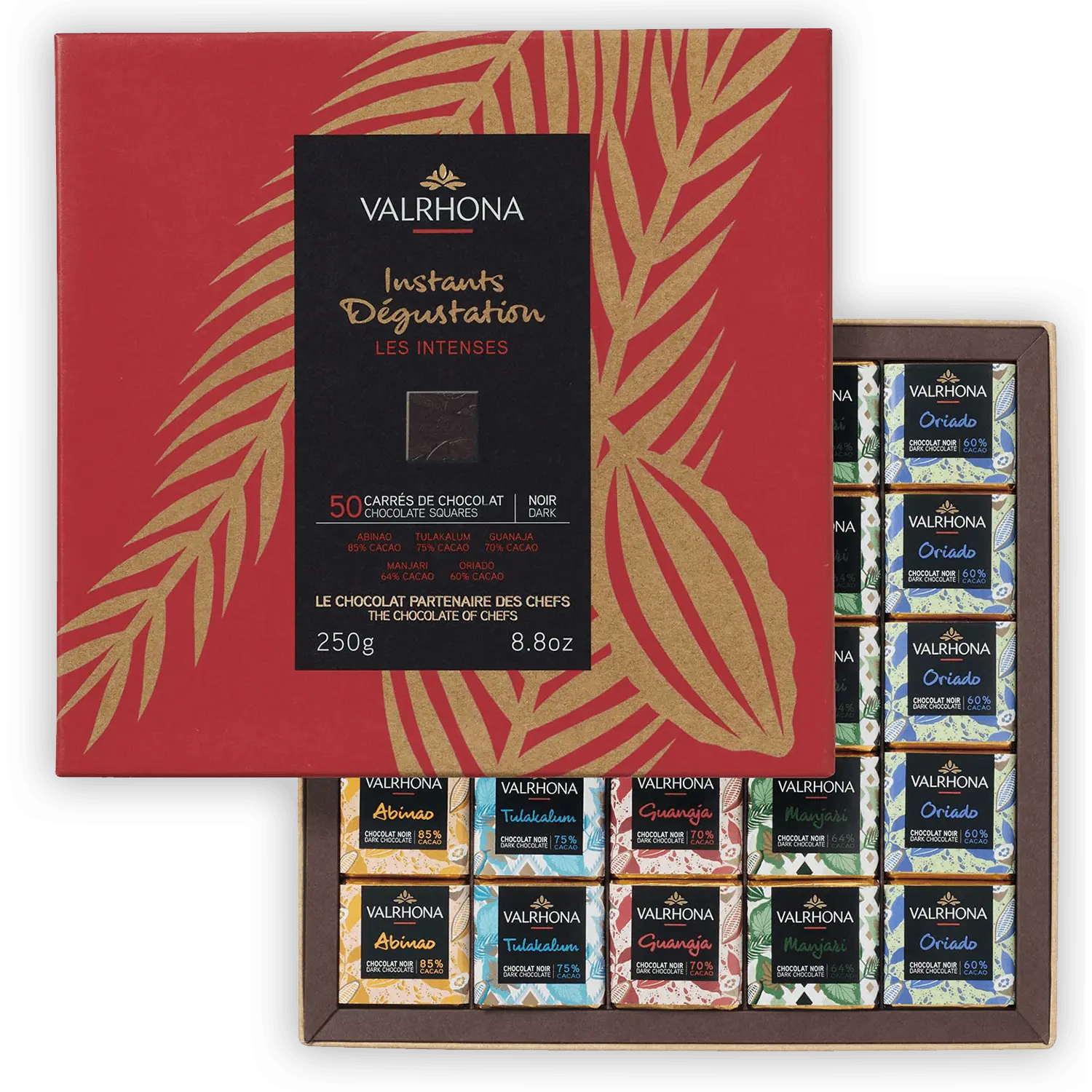 Valrhona Mini Squares Gift Box Dark Grand Crus (50 pcs)