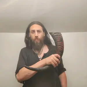 Large Waved Drinking Horn