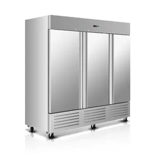 33–40°F Commercial Reach-In Refrigerator for Restaurant, Café & Convenience Store