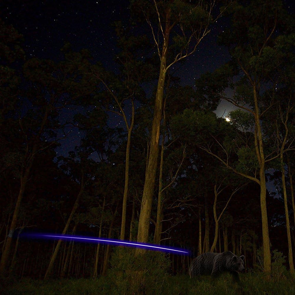 jianZD 6pcs X Lighted Nocks for Arrows with .205'' .232'' .244'' .248'' Inside Diameter with H, S, GT Bushings, High-Visibility Light Up Nocks with ON/Off Switch for Archery Green