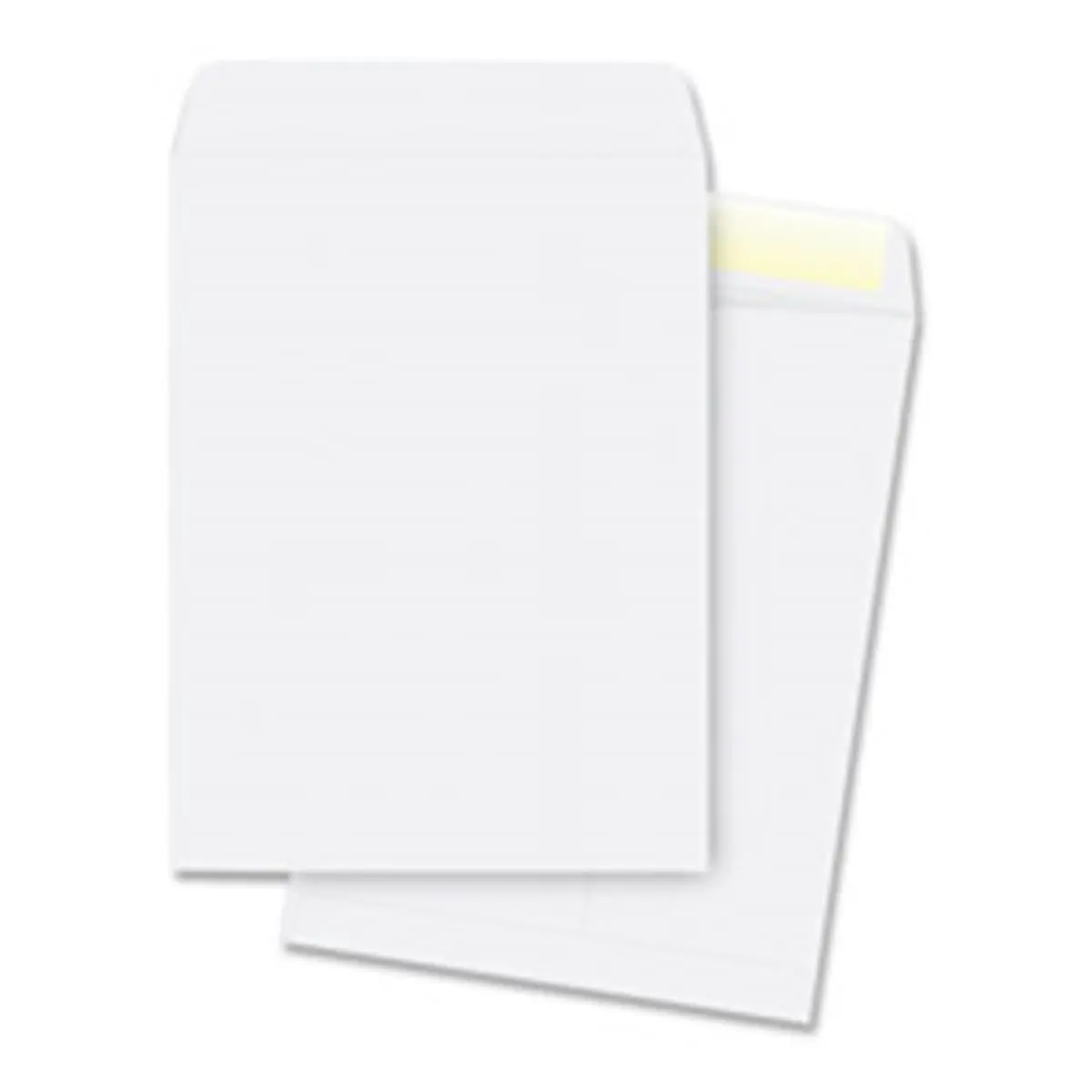 Business Source Plain Catalog Envelopes - 28Lb, 9 in. x 12 in., 250-Pk, Open-End Style, Gummed Flaps, Reinforced Seams, Secure Seal, for Business Use - WE