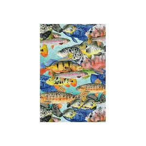 Fish School by Ceci New York