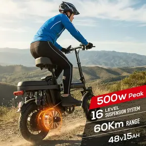 Adult Electric Bicycles Foldable 20mph Commuter Ebike with Detachable Battery Lightweight Folding Ebike 500W 48V 15AH 16 Stage Damping