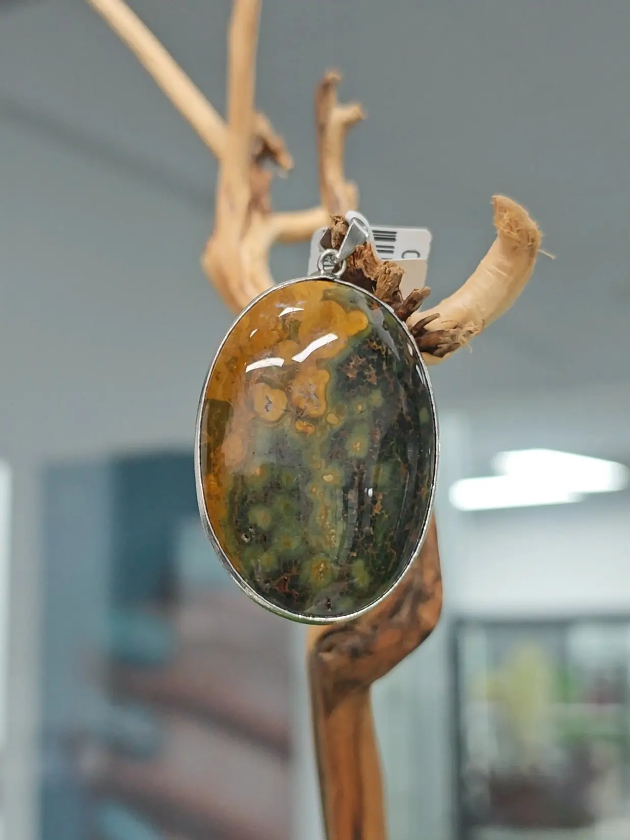 Aileen(15829)gc.Ocean Jasper Pendant