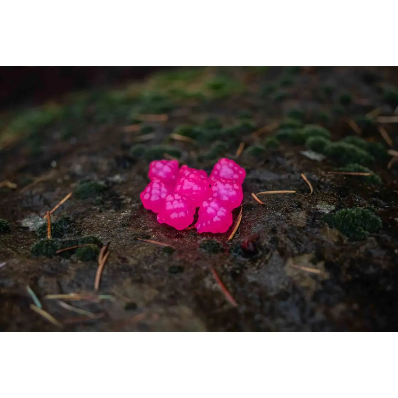 VIP Outdoors Soft Egg Cluster
