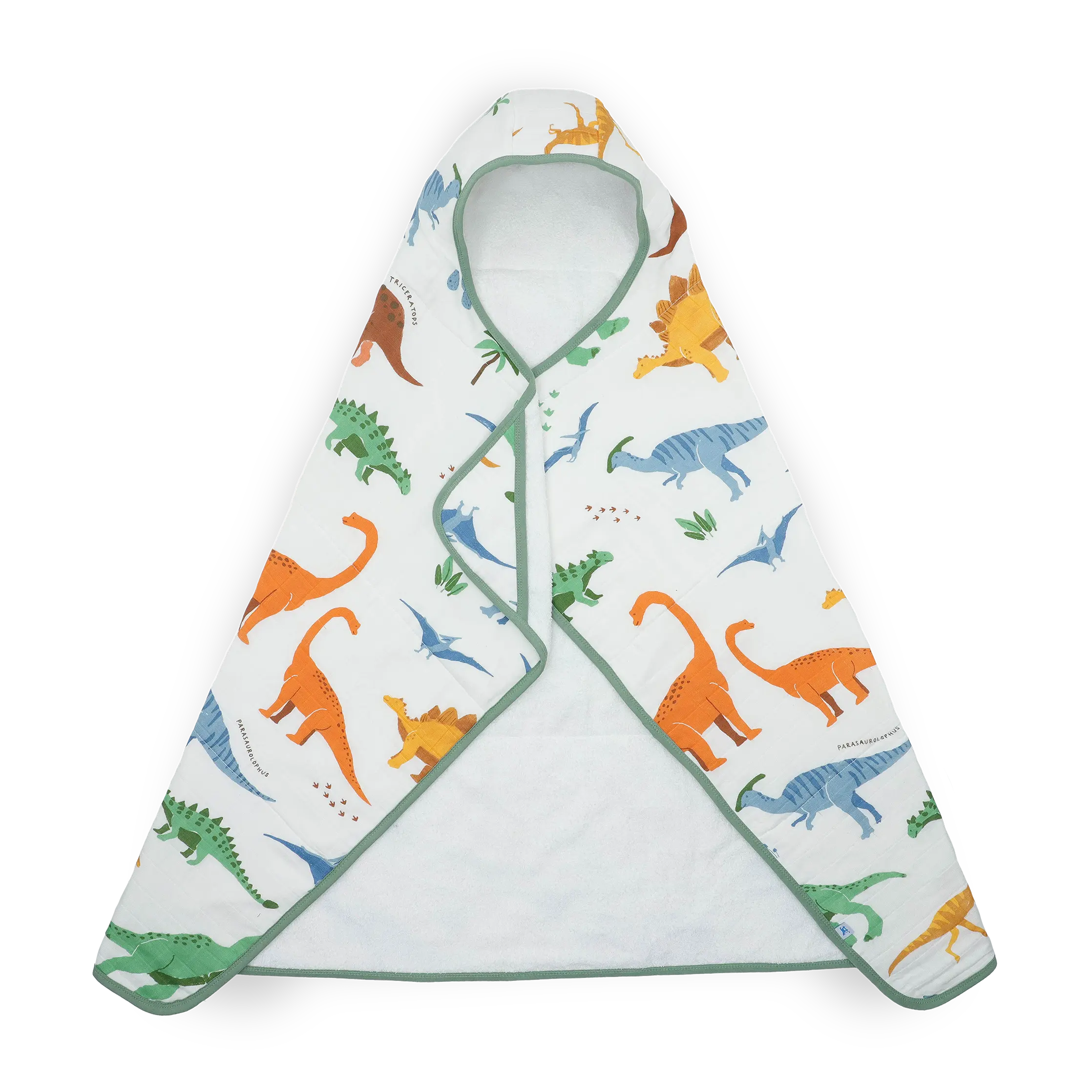 Toddler Hooded Towel - Dino Names