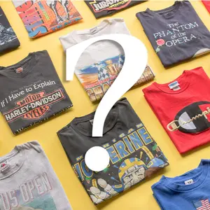 Mystery Vintage T-Shirt Pack, Unisex Tees, 90's, 80's, Y2k HL