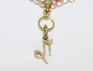 Sovereign Capricorn Zodiac Charm