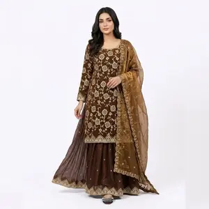 Indian Dress for Women's - Simple Representation of an Indian Dress Designed for Women Without Additional Details