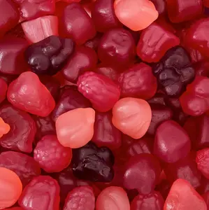 Berry Jelly Candy Mix 1 Pound Bag | Vegan Gummies with Real Fruit Puree | Assorted Berry Flavors | Gelatin Free Plant Based Texture | No Artificial Colors and Flavors | Dye Free Candy