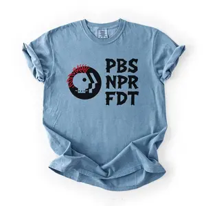 Comfort Colors PBS, NPR, FDT Resistance Shirt, Resist Tyranny Support Public Broadcasting, Political Graphic Tee