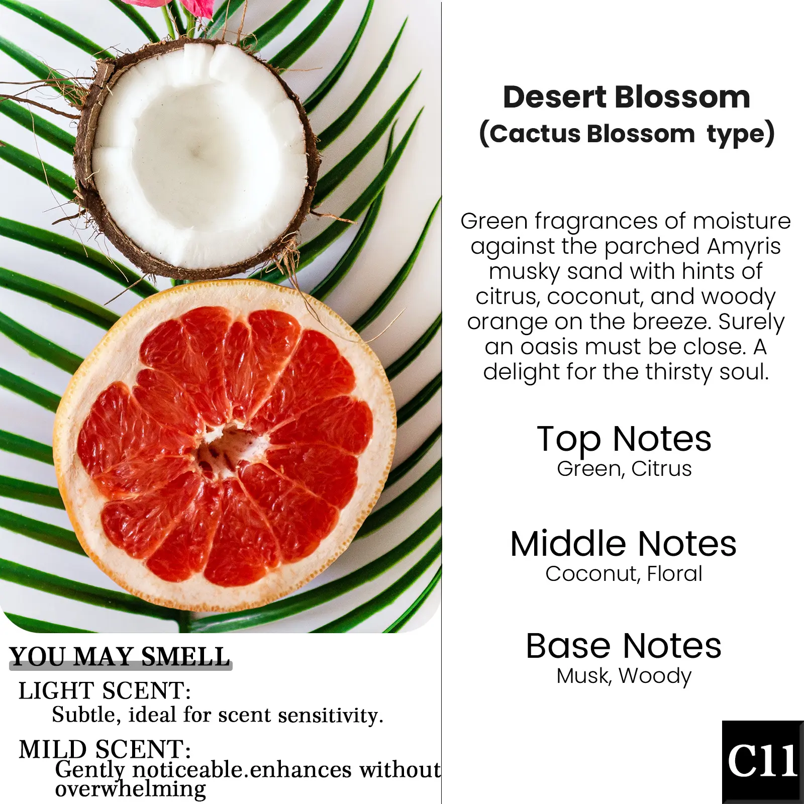 C11-Desert Blossom(Cactus Blossom type)